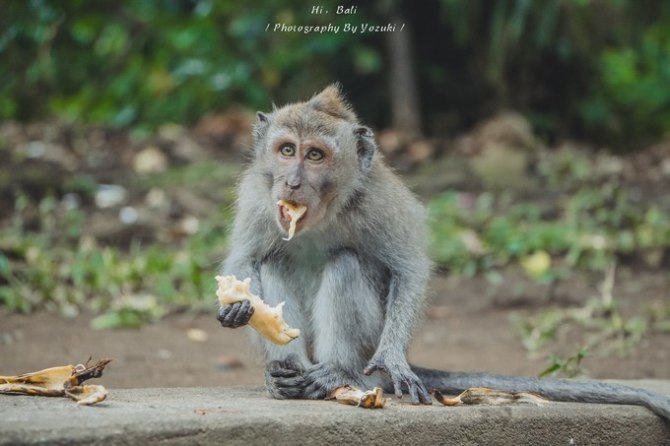 巴厘岛自由行5日游,巴厘岛天堂之旅