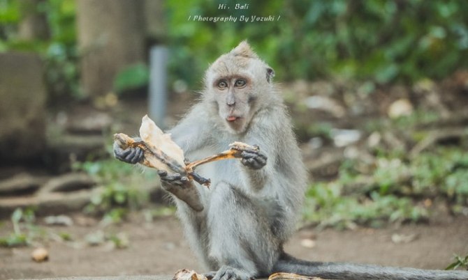 巴厘岛自由行5日游,巴厘岛天堂之旅