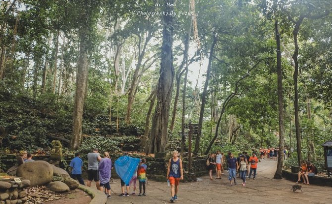 巴厘岛自由行5日游,巴厘岛天堂之旅