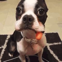 碰上这柔情似水的小护士打针！再疼我也不叫！