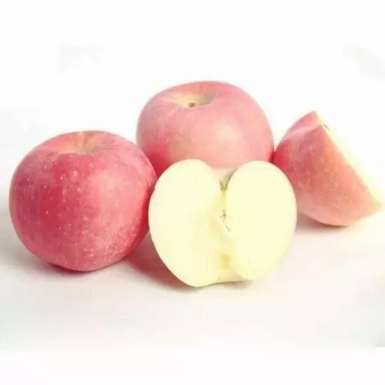 简笔画儿童3-6岁简单入门水果图解,水果和水果切面简笔画