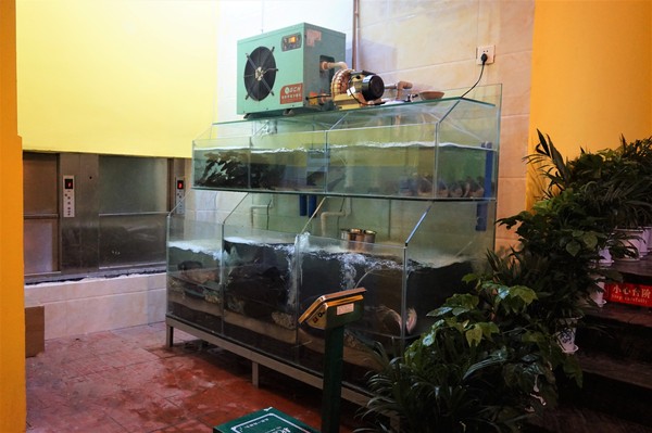 昆明是中国著名的春城,昆明是远近闻名的春城