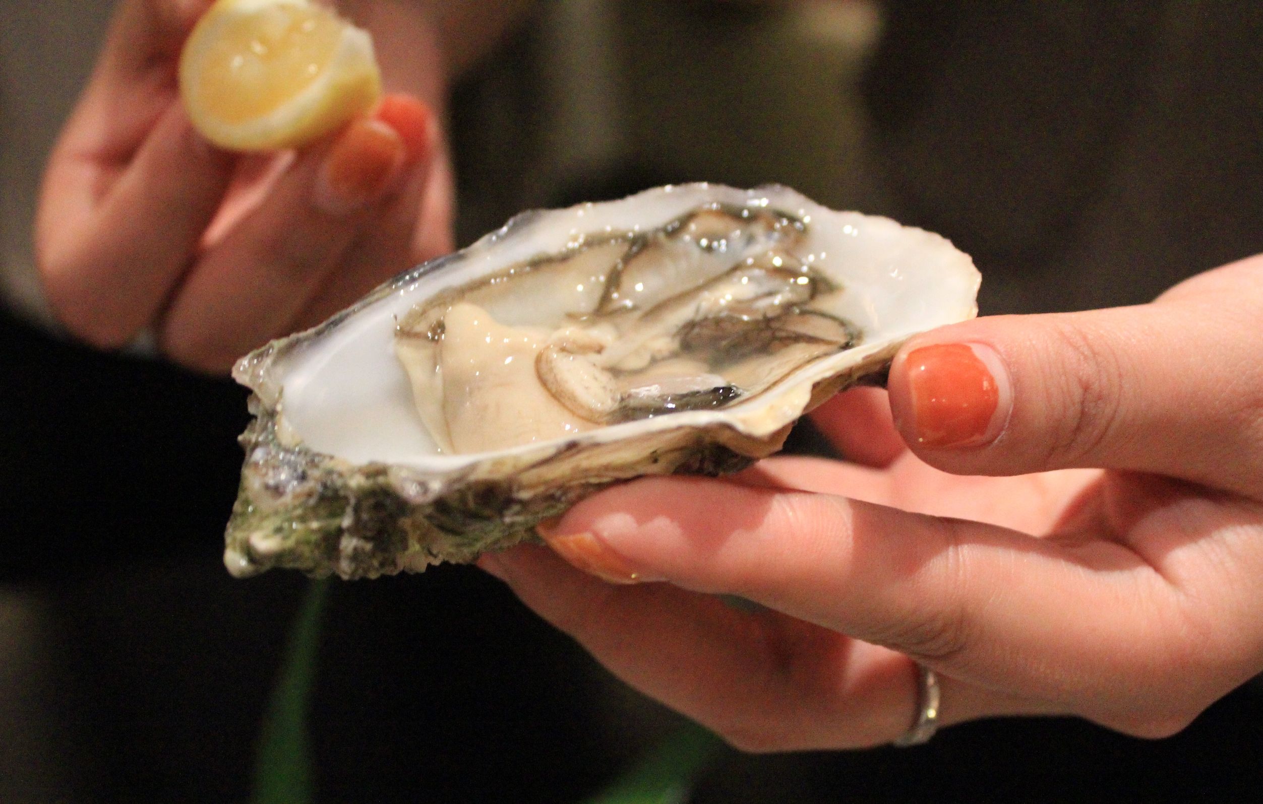 一入“蚝”门深似海,在南京LC把大海吃下去