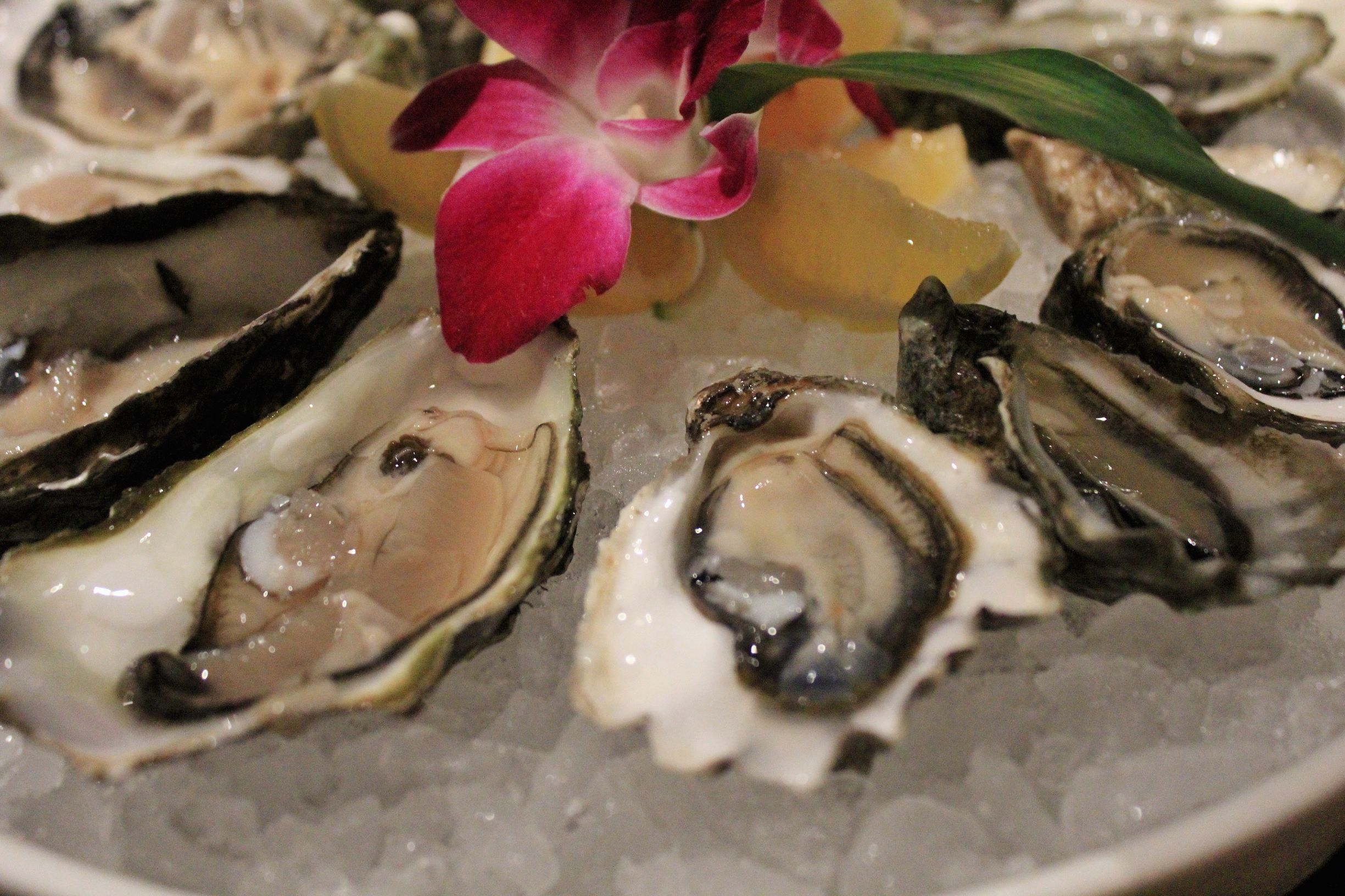 一入“蚝”门深似海,在南京LC把大海吃下去