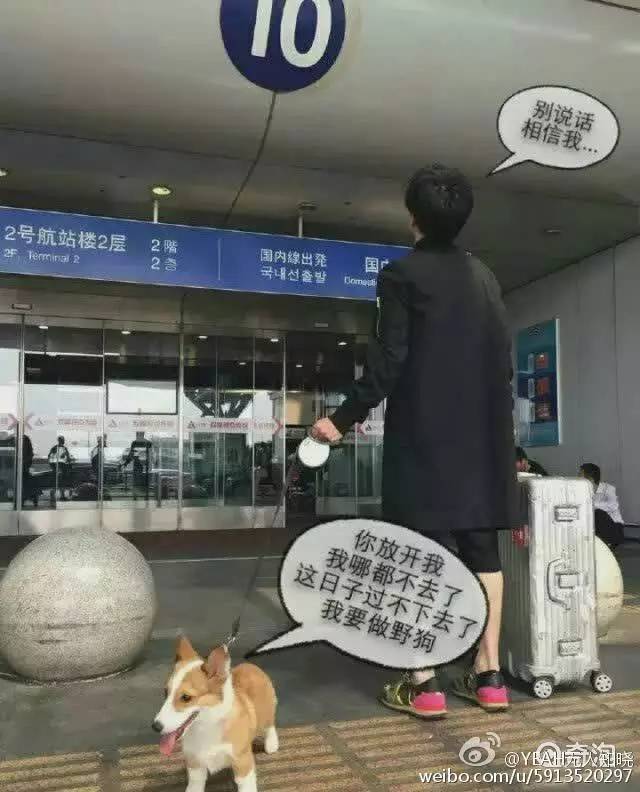 扣方便面，扣火锅底料？说说你都被海关扣过哪些奇葩东西？