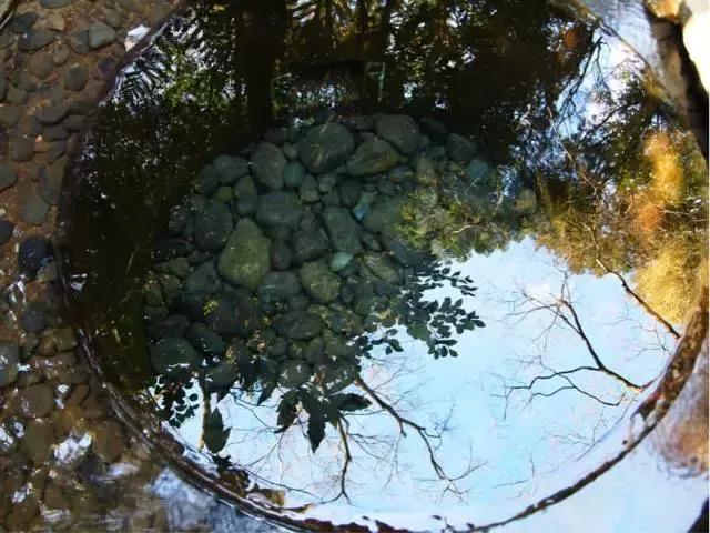 东京旅游一定要去的10个地方,去东京旅游有什么好玩的地方