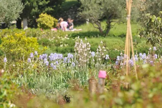 寻味格拉斯，老城下的香水之路！