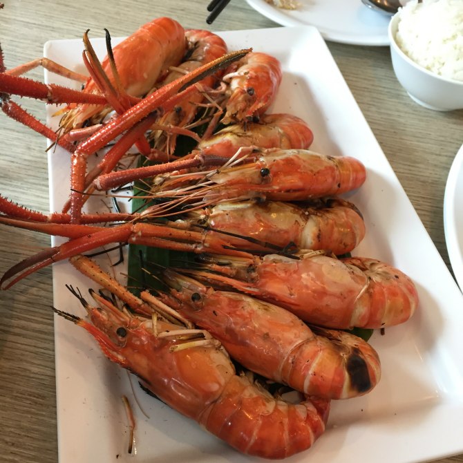 新款阿特兹西藏自驾游,国内阿特兹旅行版