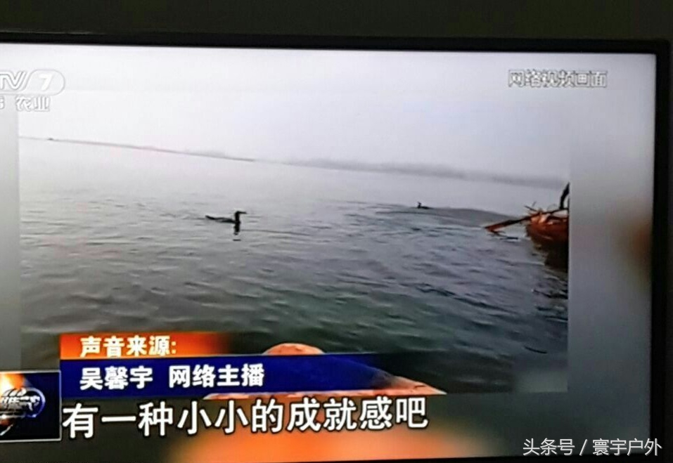 靠着千年传承的鸬鹚捕鱼,他们登上了央视的大屏幕!(附视频)