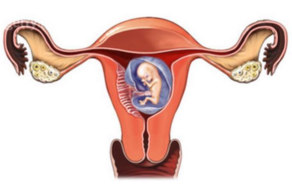 宫外孕大出血需要怎么处理,宫外孕为什么会引起大出血