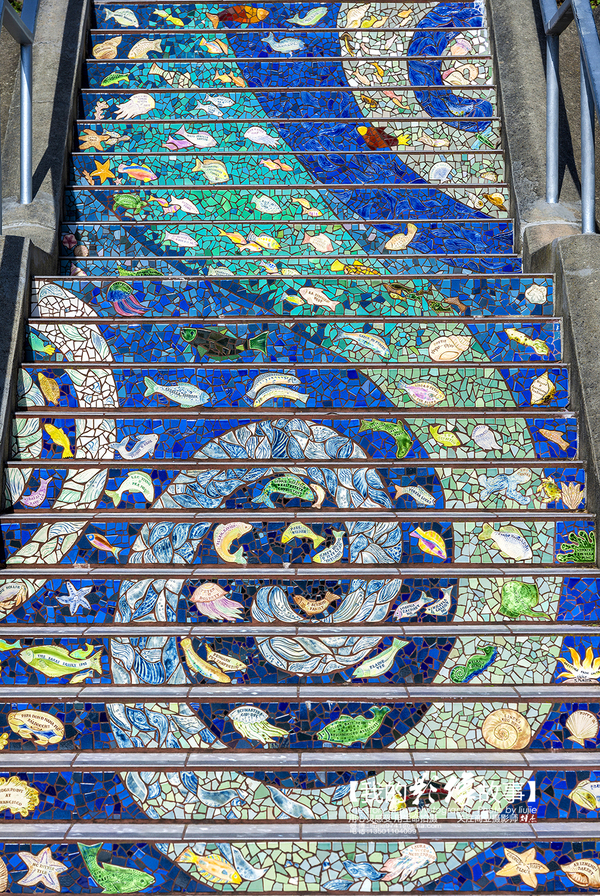 三天玩转让人怦然心动的旧金山