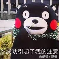 二度实探|那个宣称要“淘汰”北二环的大丰,你可能买不起了