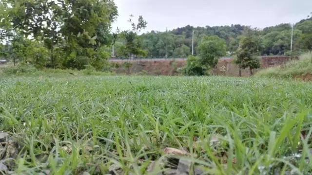 战士第二故乡原创,原创家乡