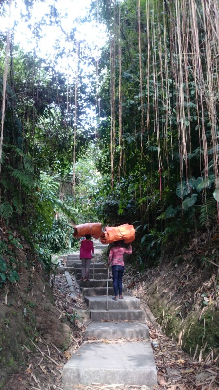 巴厘岛2天自由行,巴厘岛十一天自由行