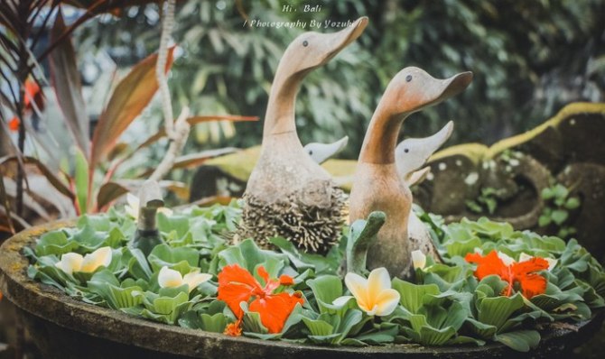 巴厘岛自由行5日游,巴厘岛天堂之旅