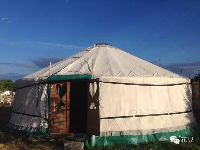 当90后都在为生活奔波还房贷，她却选择去法国农场铲马粪