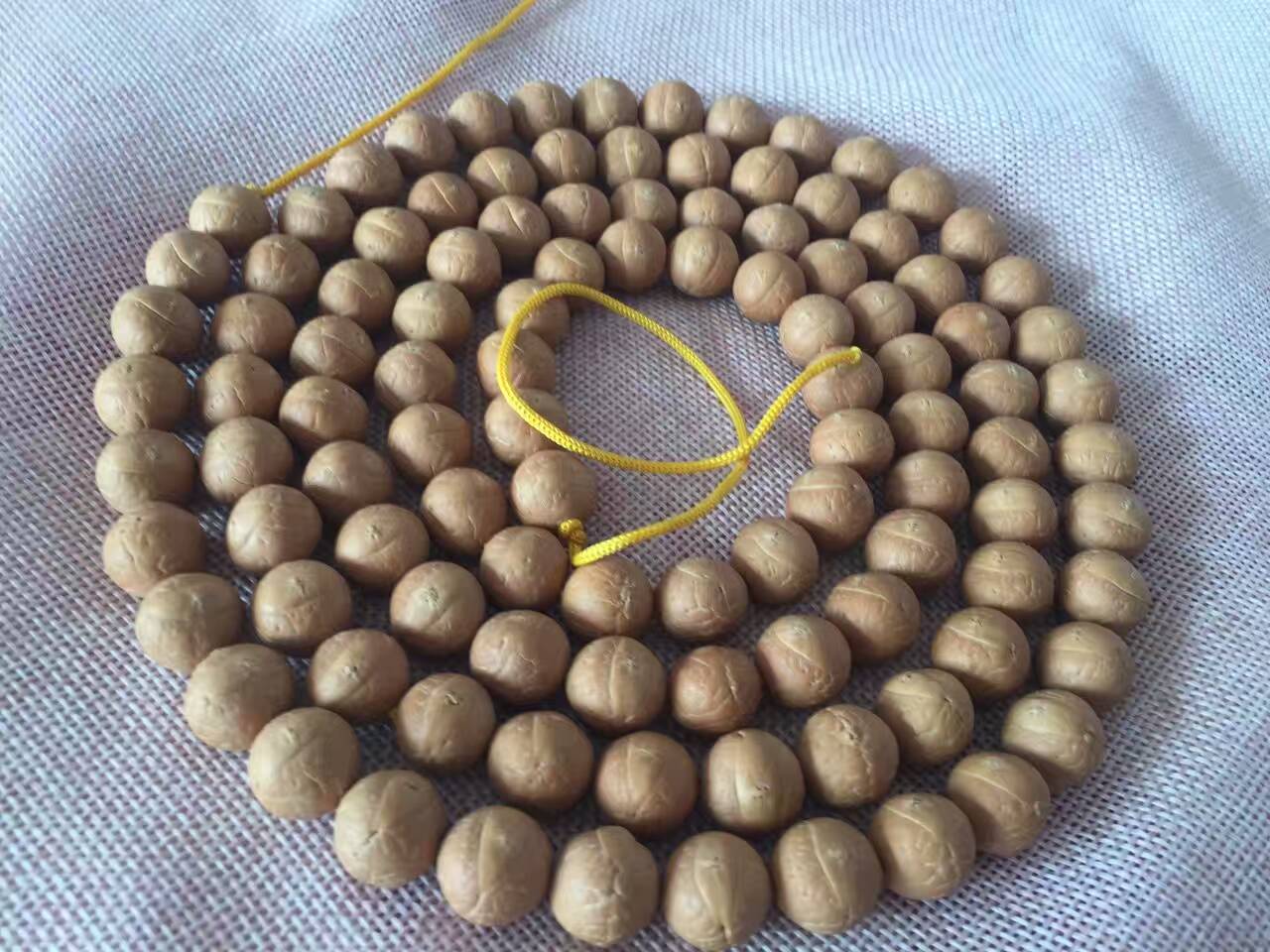 尼泊尔特产水果有哪些品种 (尼泊尔特产核桃有哪些品种)