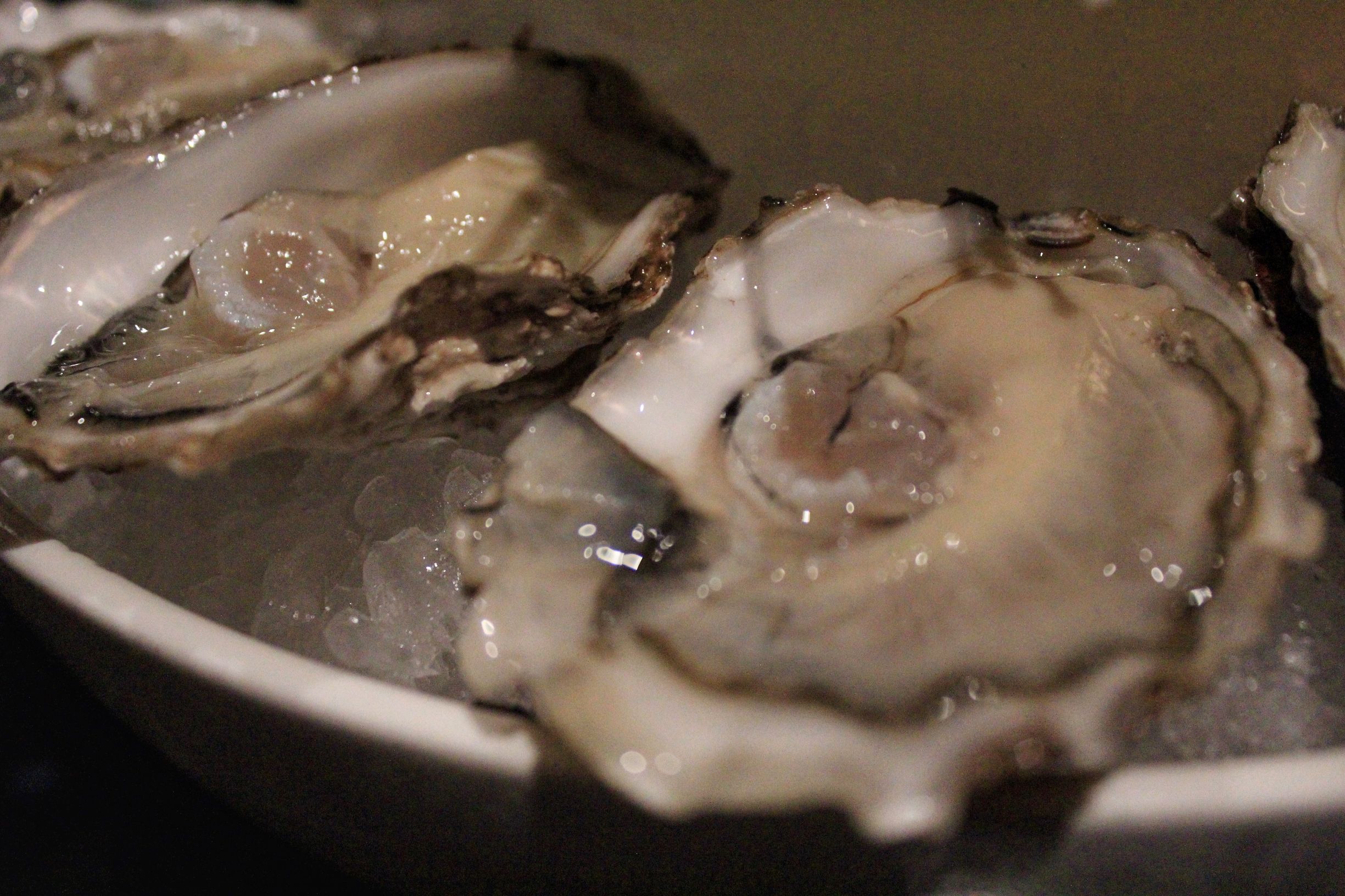 一入“蚝”门深似海,在南京LC把大海吃下去