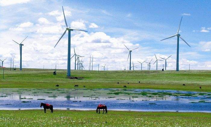 风从海上来完整视频,中国最大的风力发电站在什么地方