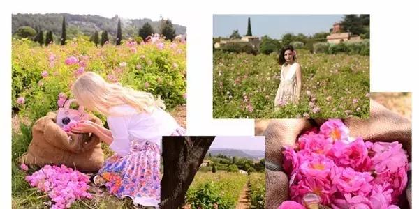 寻味格拉斯，老城下的香水之路！