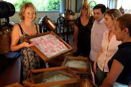 寻味格拉斯，老城下的香水之路！