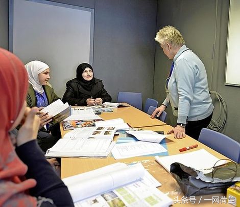 荷兰新移民,荷兰移民语言