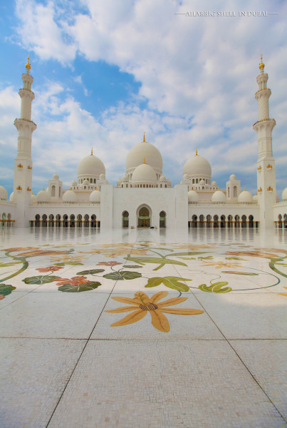 迪拜的旅行vlog,迪拜之旅vlog模板