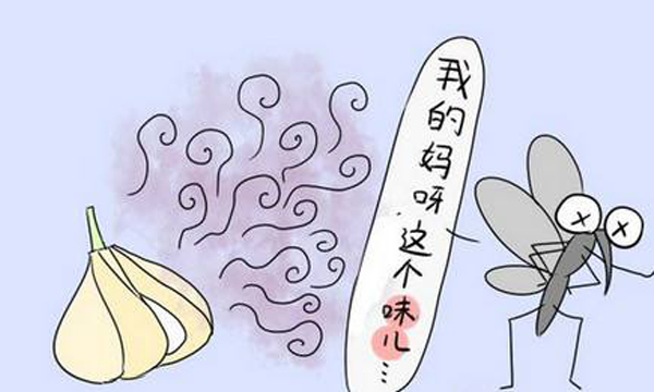 蚊子叮咬引起白斑可以消除吗,蚊虫叮咬能引起白癜风吗