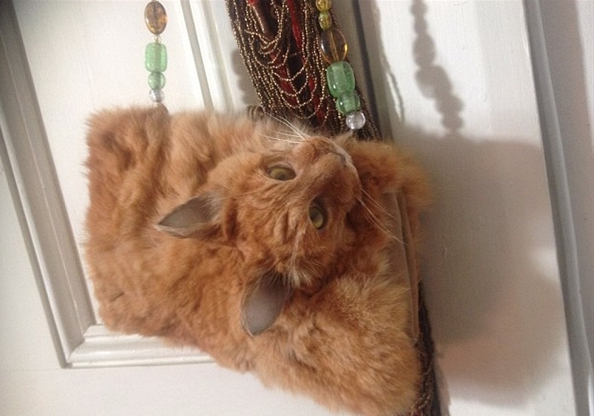 国外公然叫卖由真猫做成的包,价格高达1万竟然还被抢断货