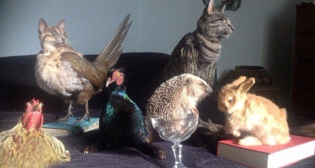 国外公然叫卖由真猫做成的包,价格高达1万竟然还被抢断货