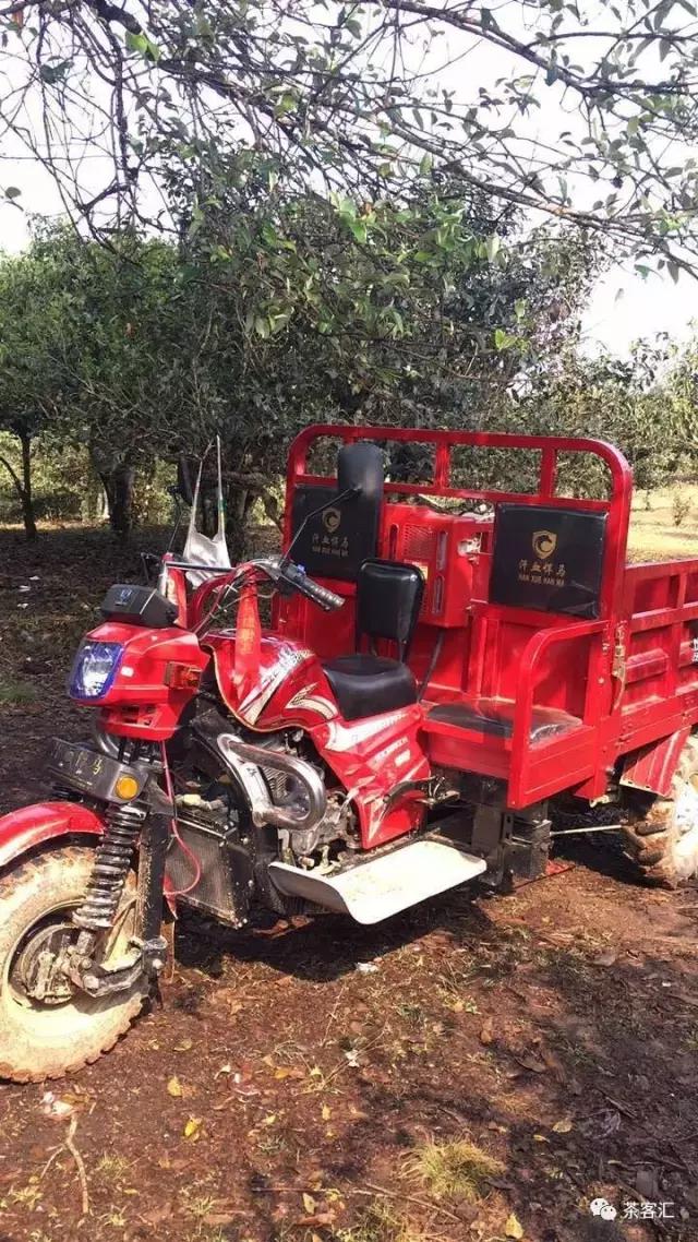 探寻普洱茶之旅路线,普洱茶人文寻访记第五天