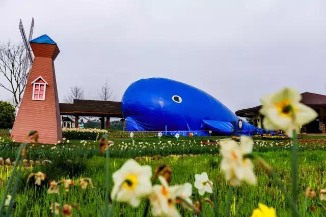 石象湖周边亲子游,周末带娃的好去处松山湖一日游