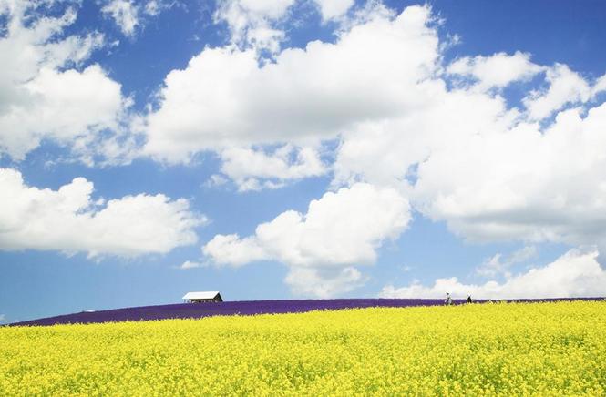 网易云音乐里面评论最多的一首歌，扎心了