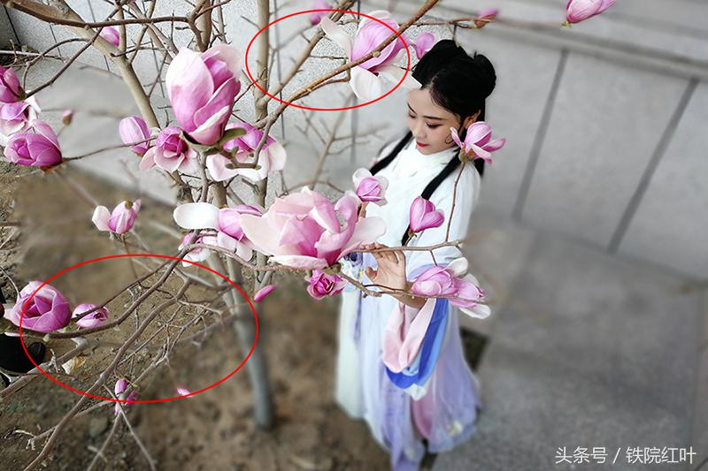 荣耀v9到底有多厉害,荣耀v9详细解析