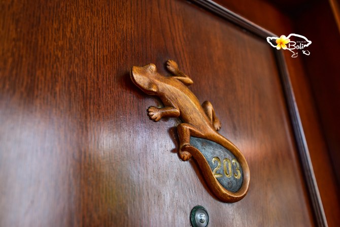 夏日国外巴厘岛避暑旅游推荐,巴厘岛夏天的风景