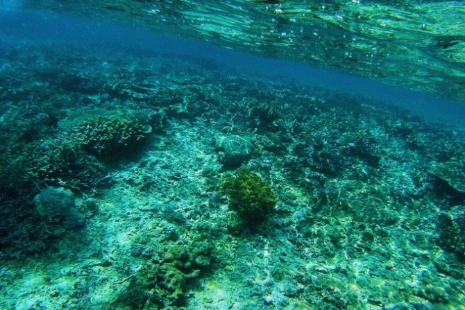 巴厘岛自由行5日游,巴厘岛天堂之旅