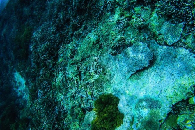 巴厘岛自由行5日游,巴厘岛天堂之旅