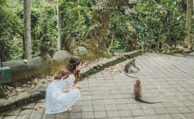 巴厘岛自由行5日游,巴厘岛天堂之旅