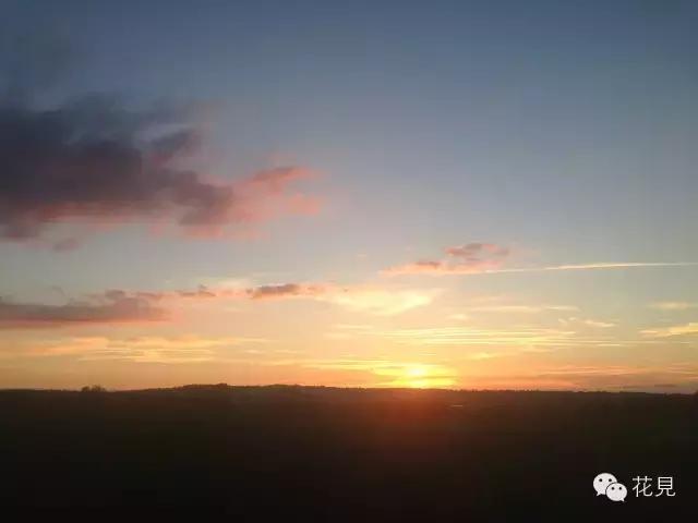 当90后都在为生活奔波还房贷，她却选择去法国农场铲马粪