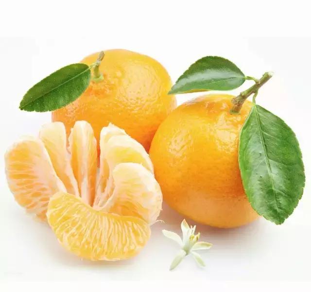 简笔画儿童3-6岁简单入门水果图解,水果和水果切面简笔画