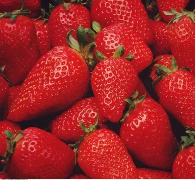 简笔画儿童3-6岁简单入门水果图解,水果和水果切面简笔画