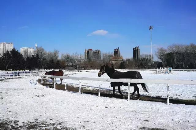 伪满皇宫历史素材,伪满皇宫历史解说