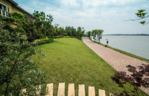 十年记｜纳帕溪谷·时间的故事