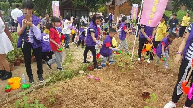 不用去罗平也可以看油菜花,不用去日本也能看的樱花海