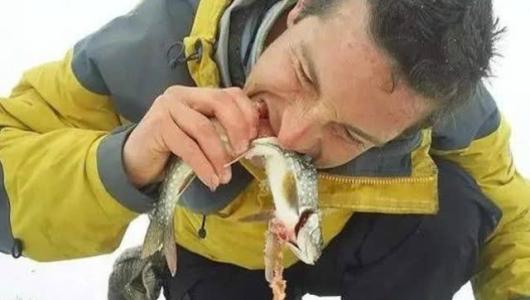 炉石传说安戈洛第一名,炉石传说勇闯安戈洛冒险模式在哪