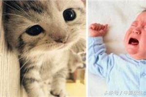 婴儿哭声像猫叫,婴儿哭声像猫叫一定是猫叫综合症