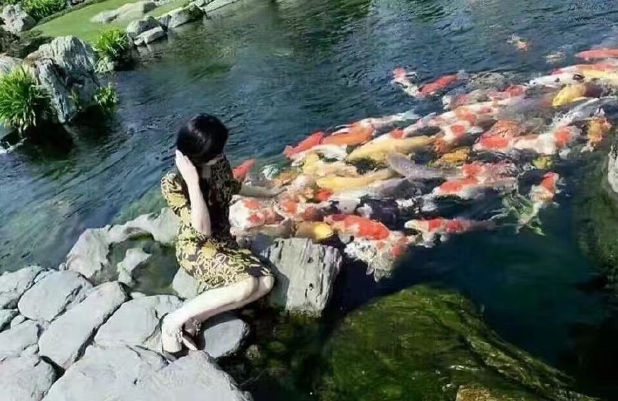 福建家庭园林假山鱼池景观设计,园林鱼池假山流水制作方法大全