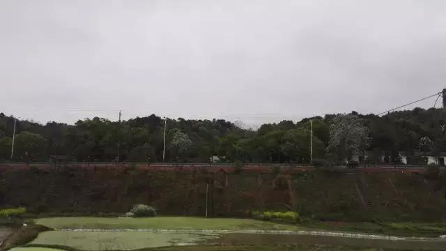 战士第二故乡原创,原创家乡