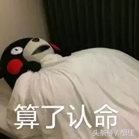 二度实探|那个宣称要“淘汰”北二环的大丰,你可能买不起了