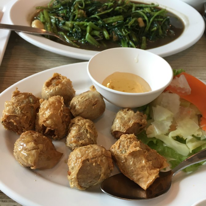 新款阿特兹西藏自驾游,国内阿特兹旅行版